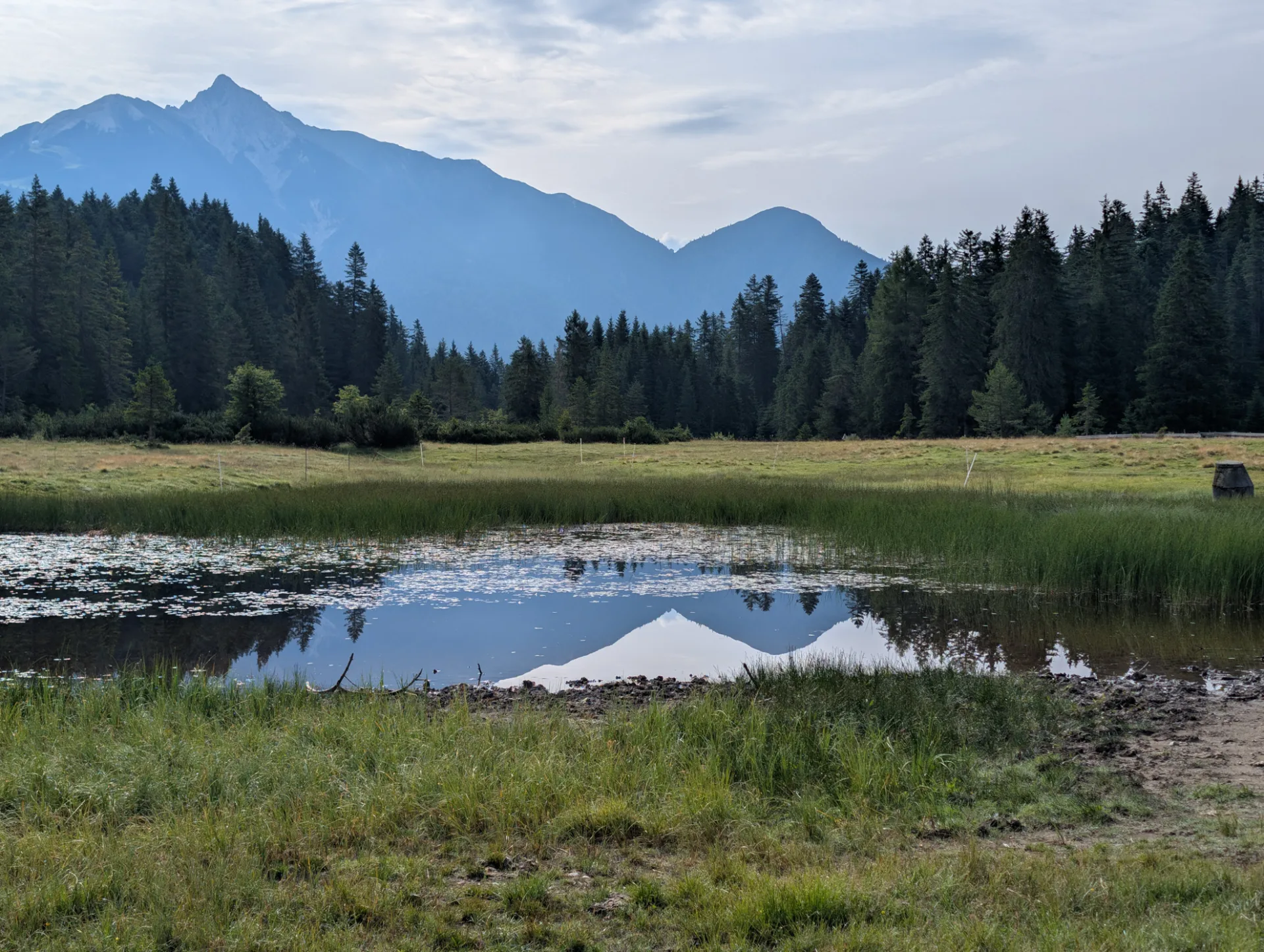Bog pond with a mountain mirrored in the surface