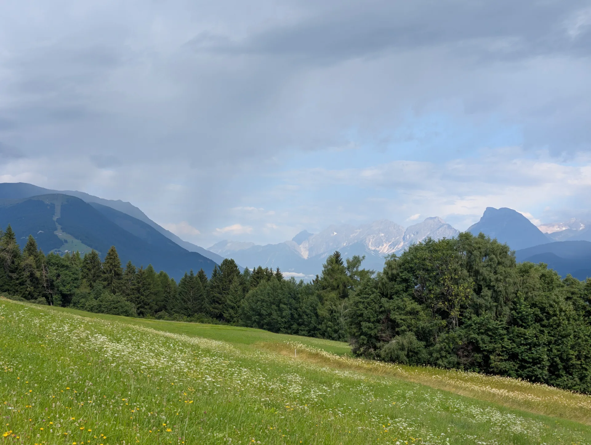 Alpine meadow in front of the massif under clouds