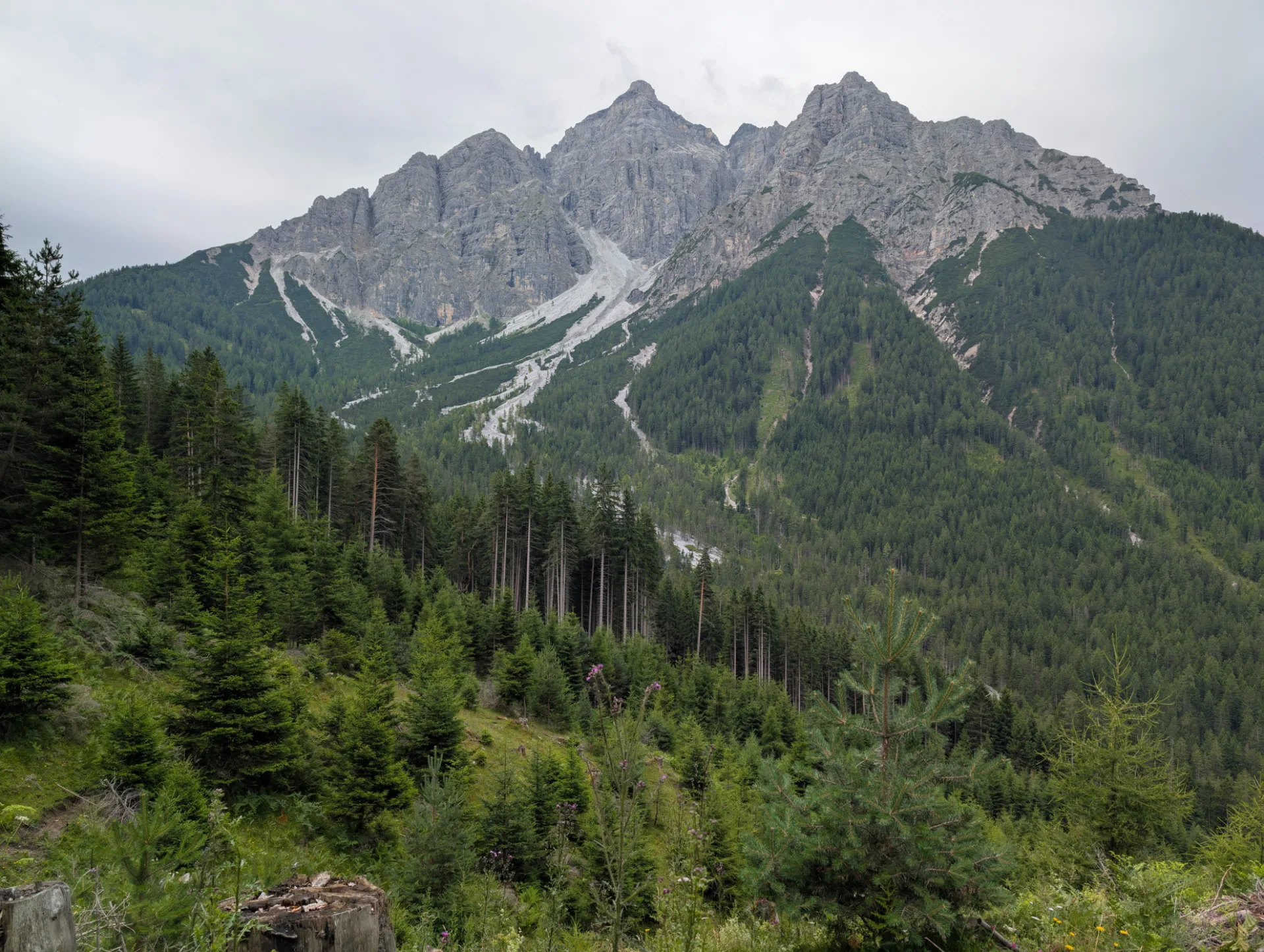 Stubai Alps massif seen from the trail