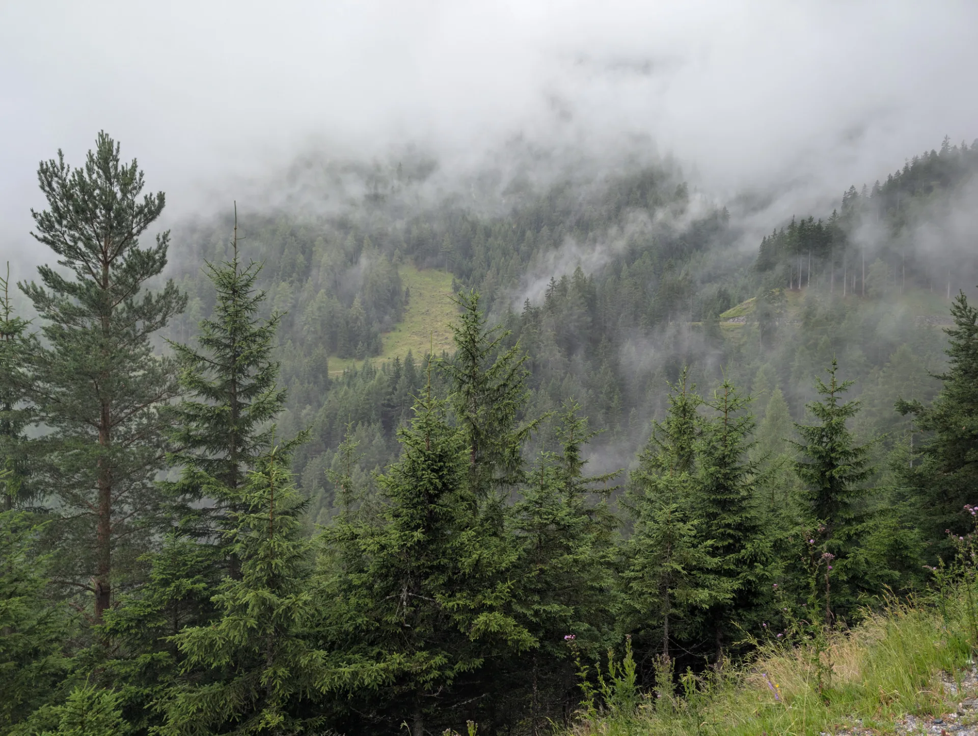 Cloud-wrapped slopes along the non-standard route