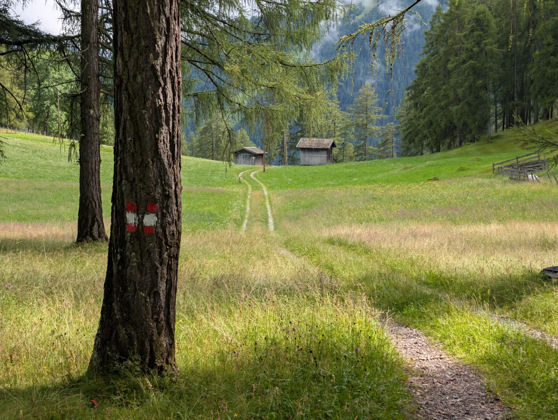 Trail with Austrian waymarking and alpine huts