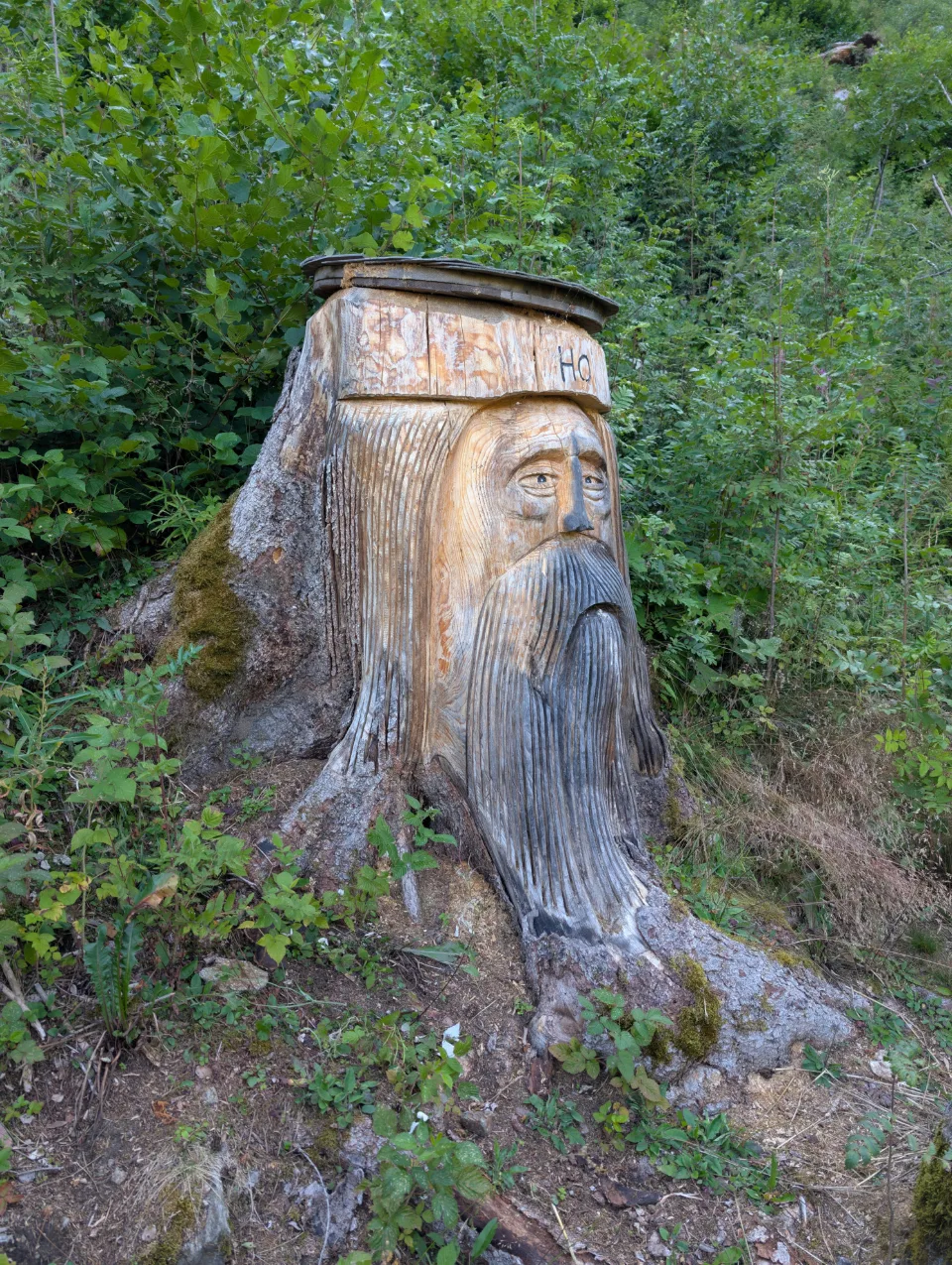 Bearded mountain spirit carved into a tree stump