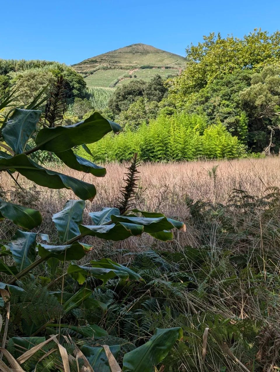 A view of the green cone of Pico do Mafra