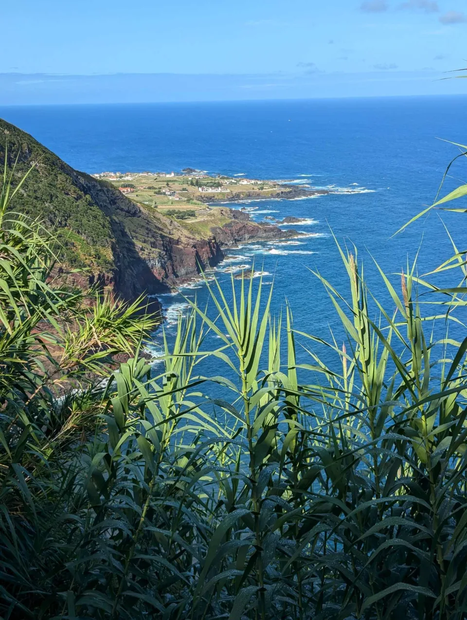 Atlantic sea cliffs with a green headland