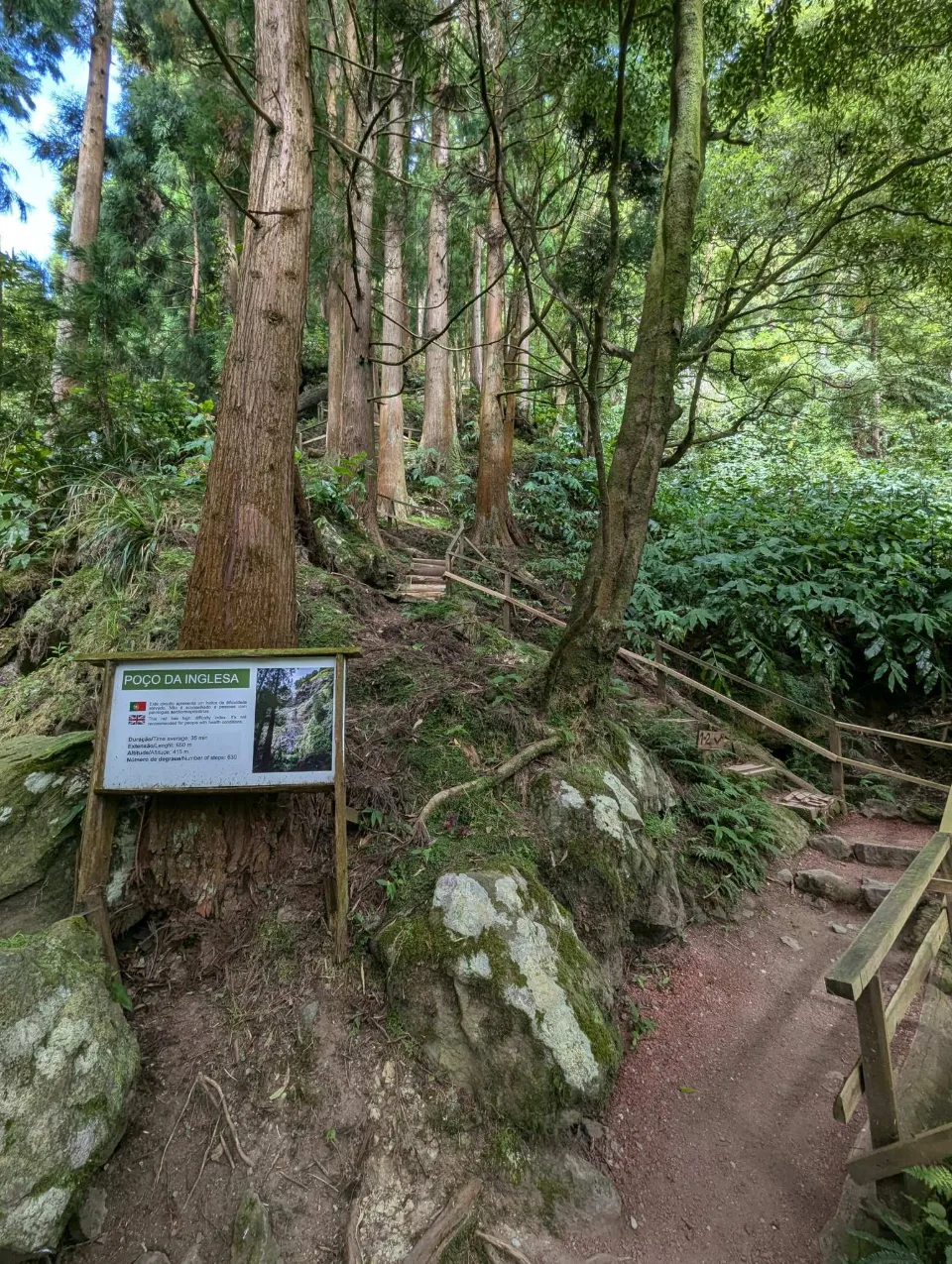 An info board at the Poço da Inglesa in the forest