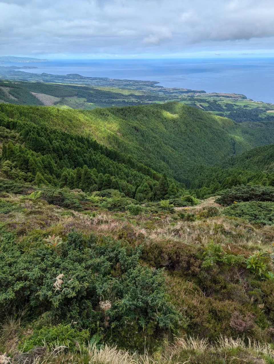 A view from the heights over the forests to the coast