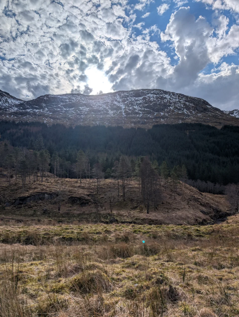 Sun behind the mountain, clouds over the forest