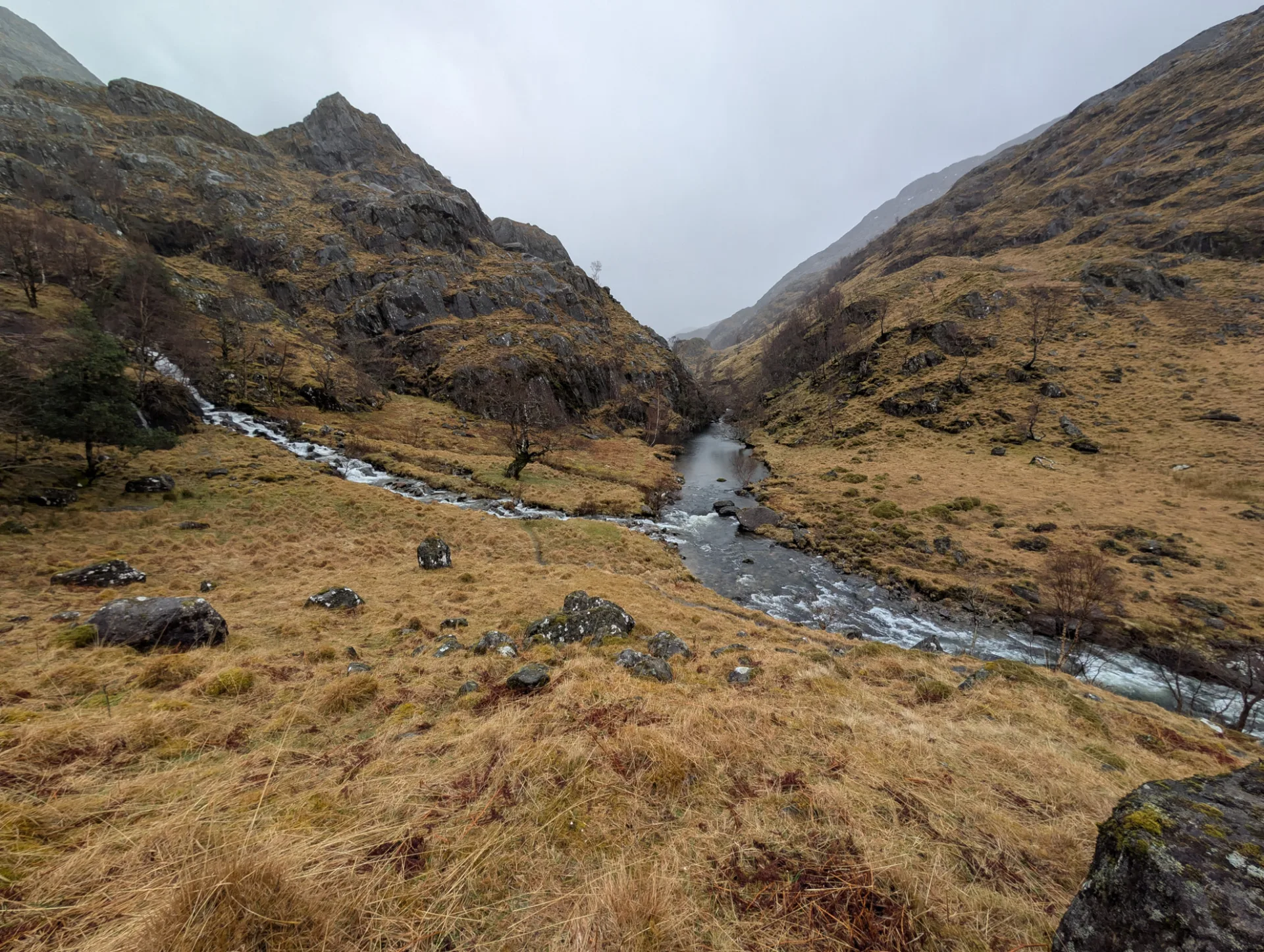 Burn in the valley, heather in the foreground