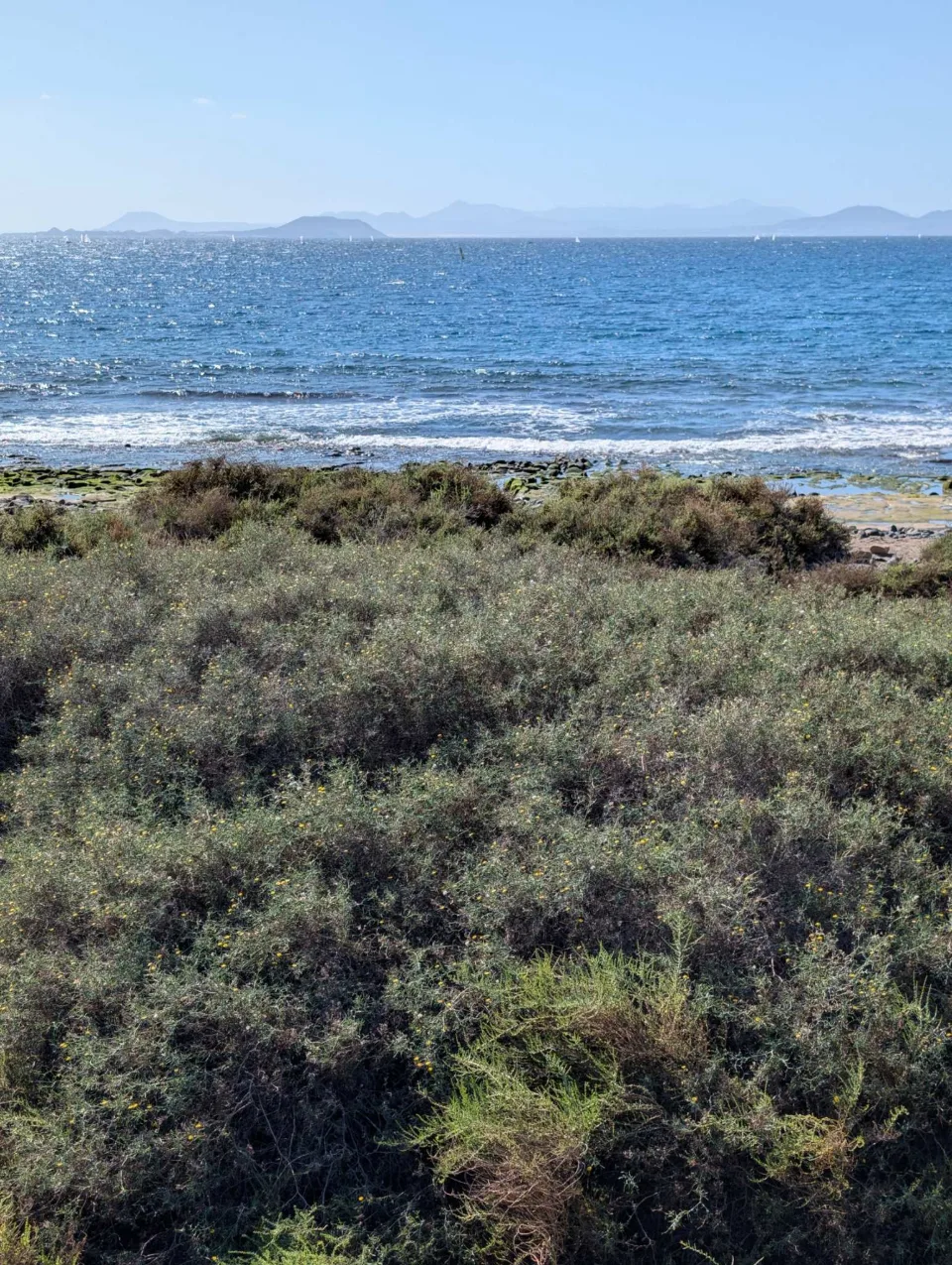 On the south coast near Playa Blanca: turquoise water and low coastal scrub.