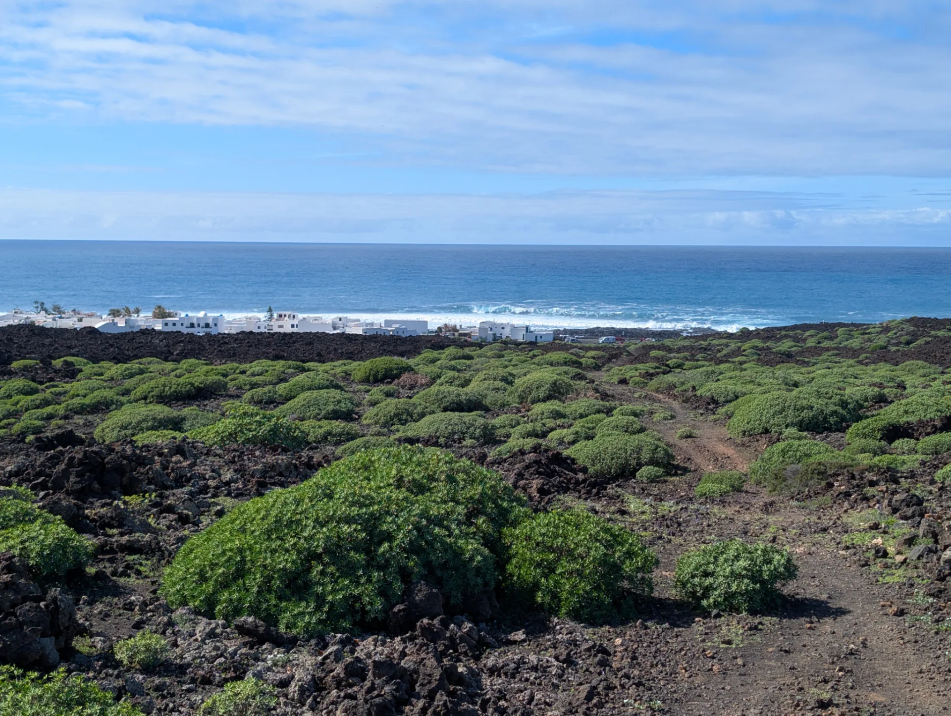 Green coastal scrub above the surf.