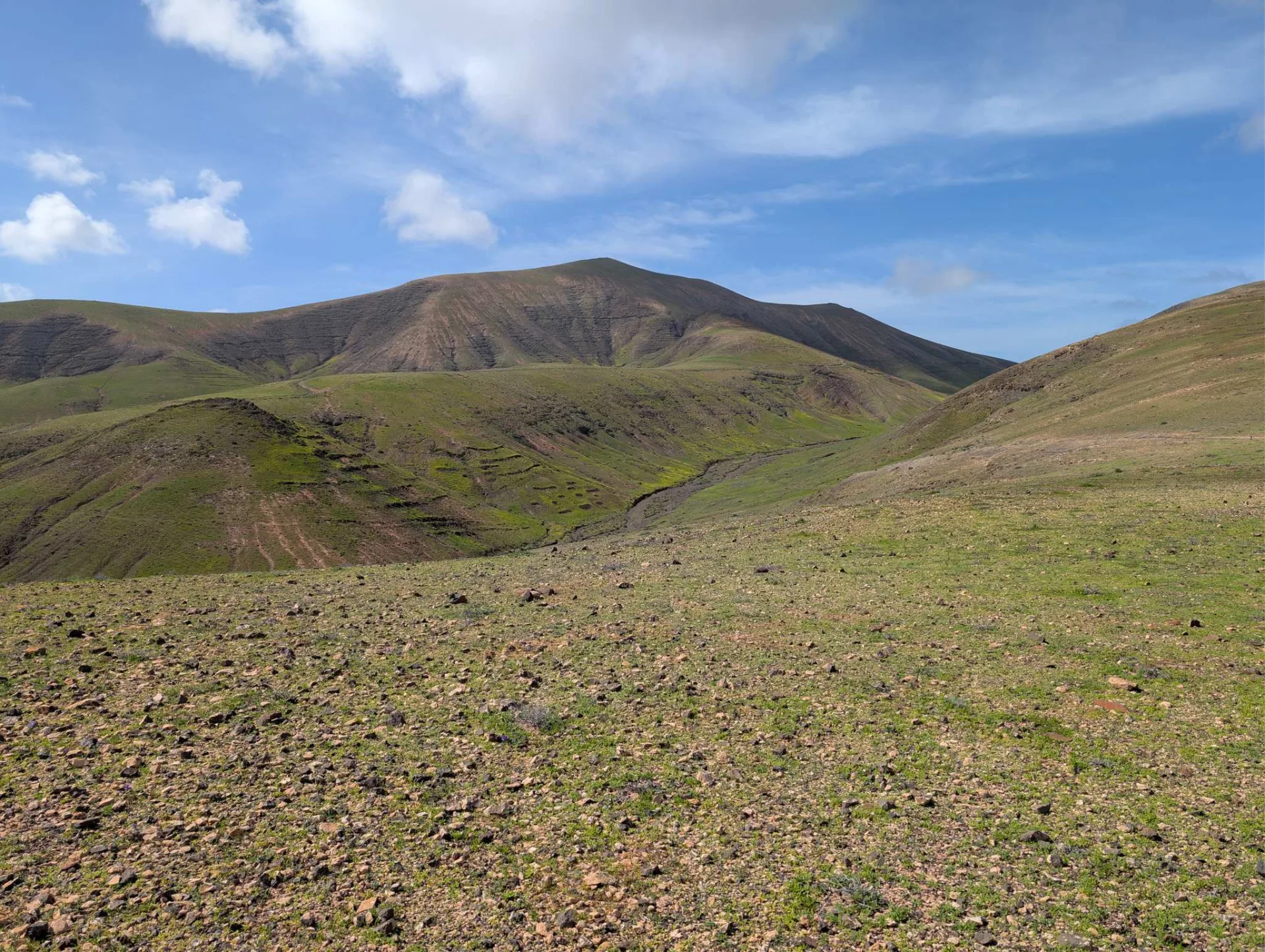 The green heights of the Los Ajaches park — the trip's biggest climb.