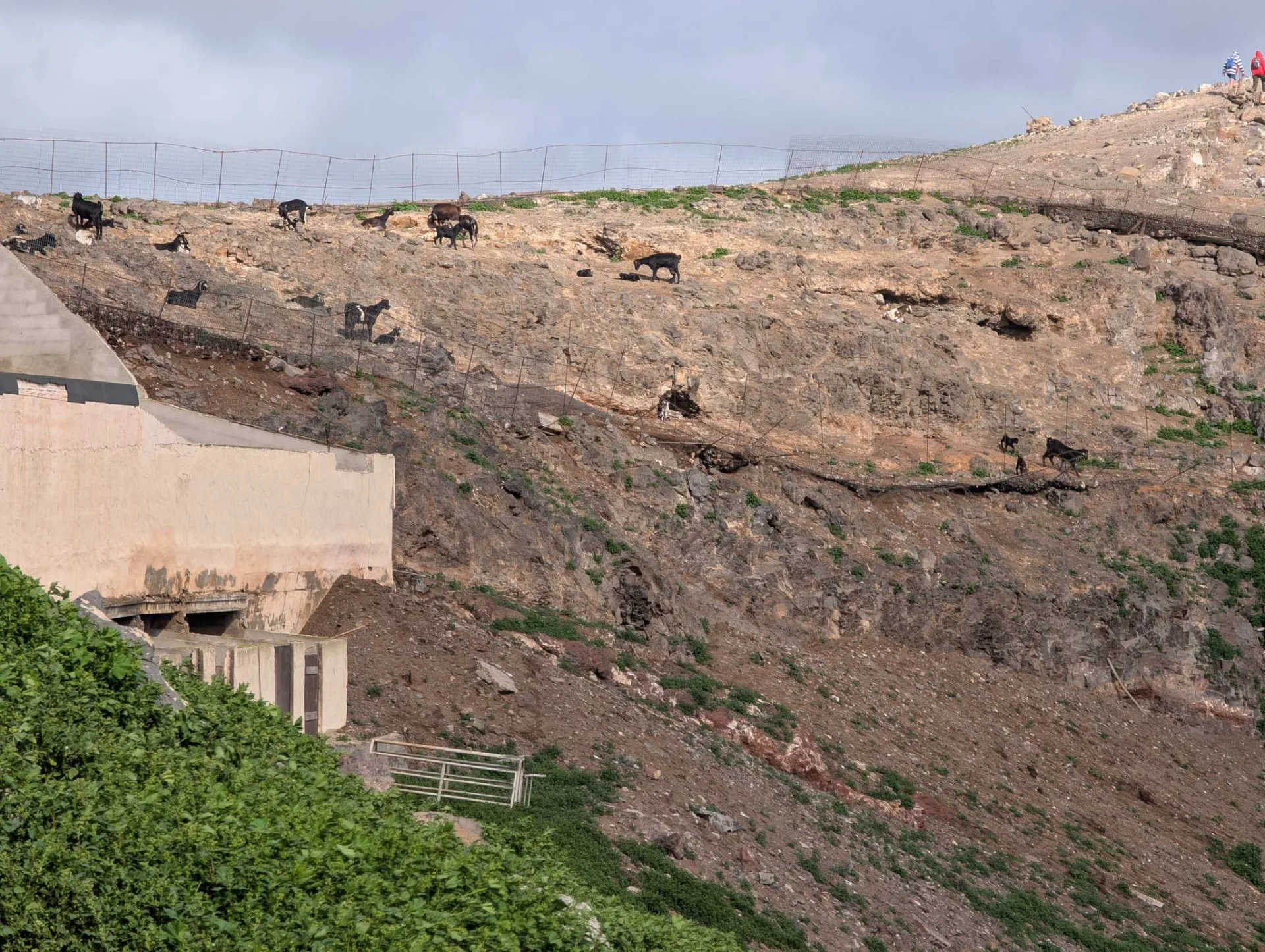 A finca on terraced slopes on the way back.