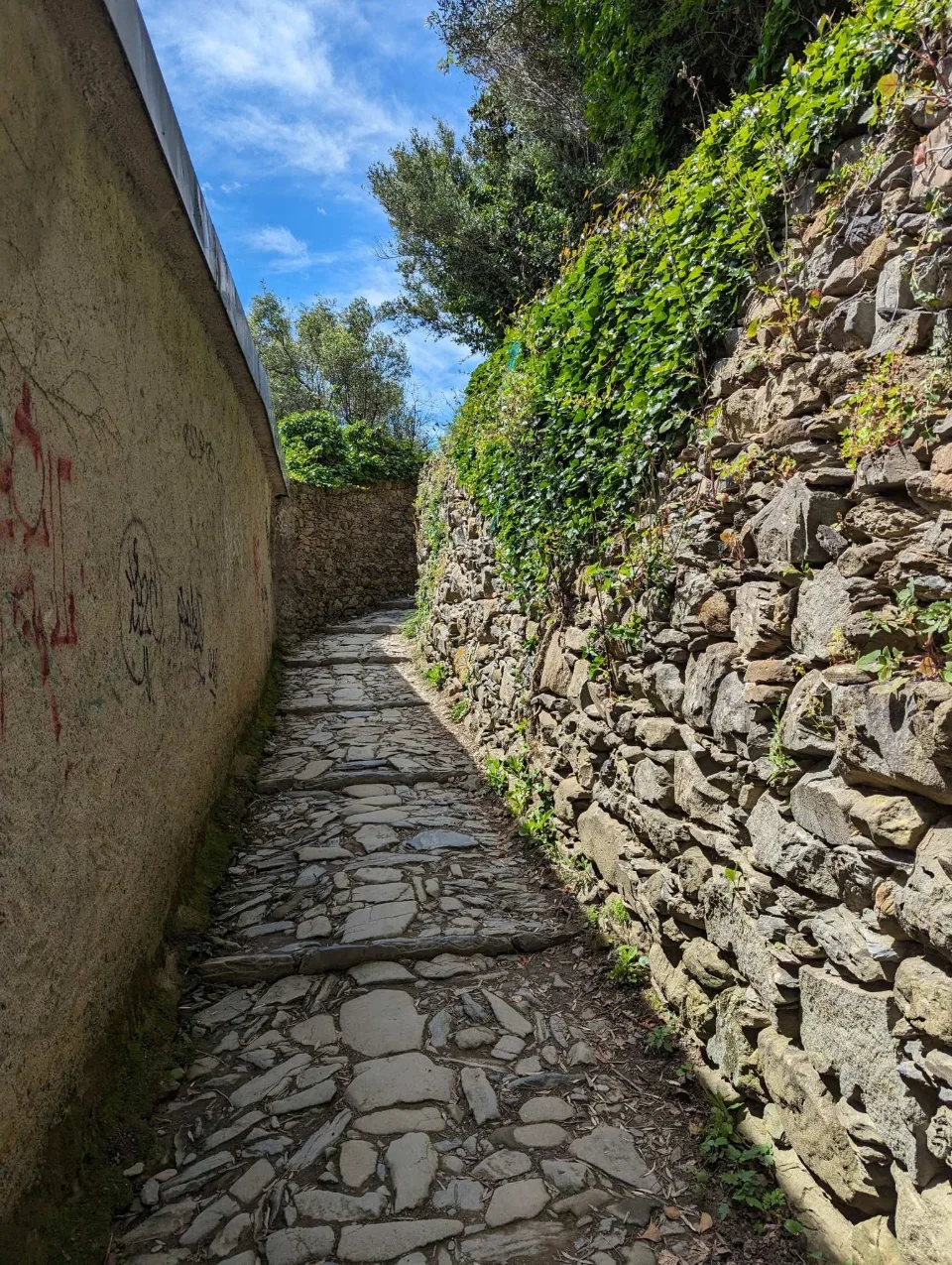 A paved mule path between walls above the Cinque Terre