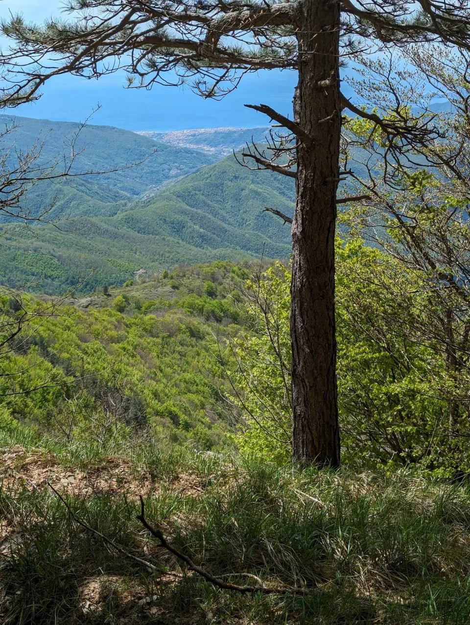A view from the Apennine ridges down to the sea