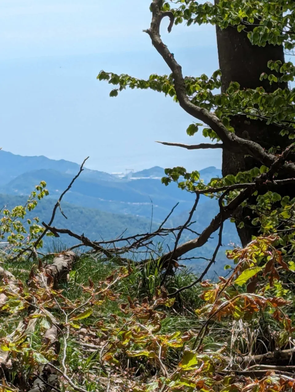 A hazy distant view to the Ligurian coast