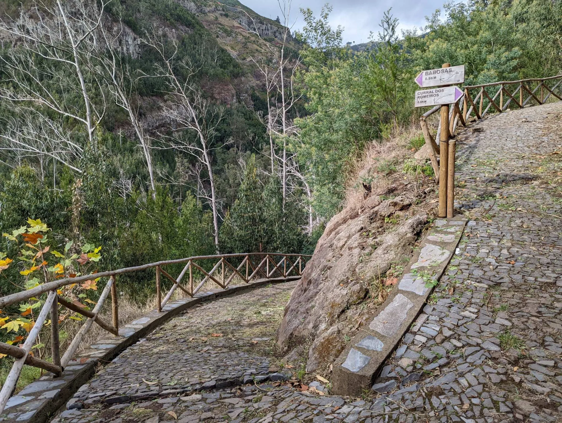A cobbled path with a signpost above Funchal