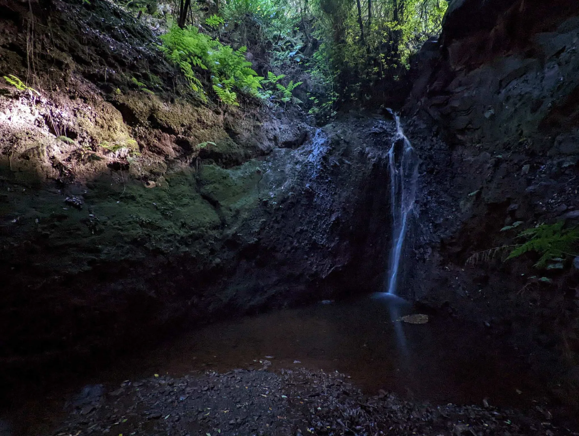 A waterfall into a shaded pool