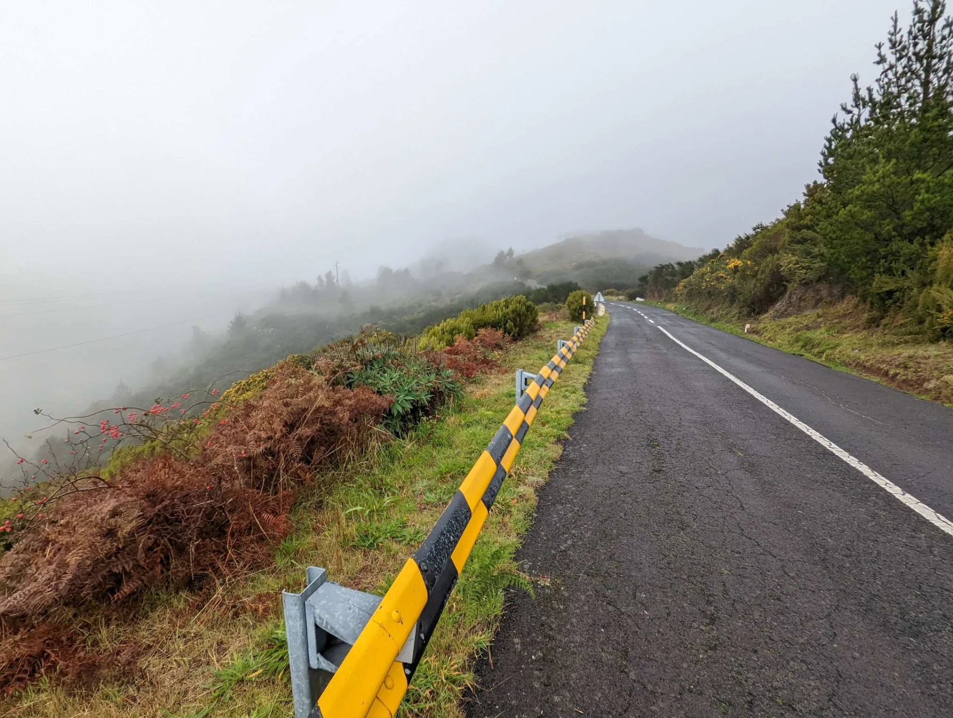 A foggy road on the climb to Pico de Arieiro