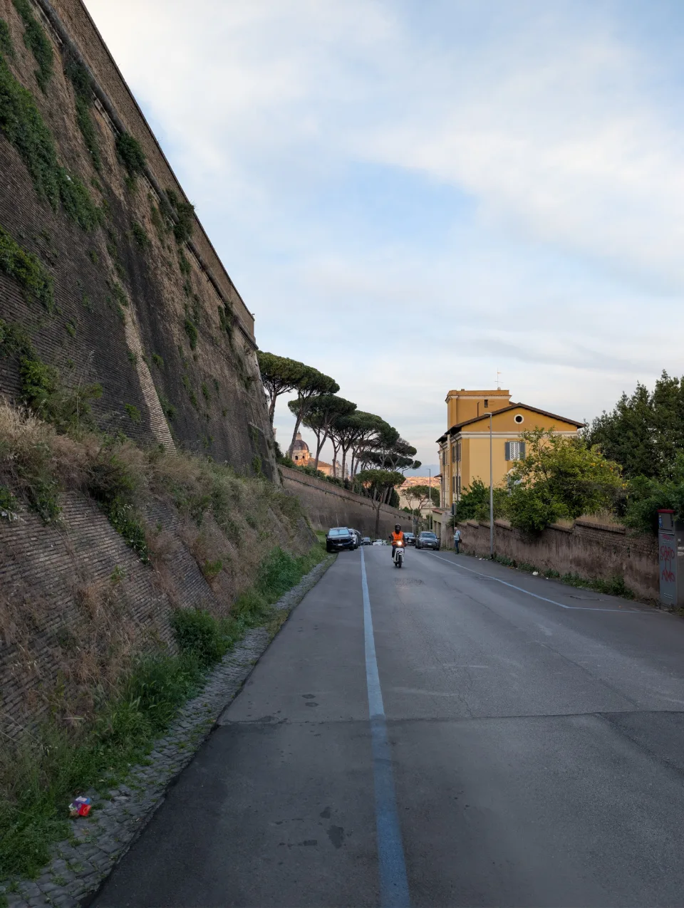 Vatican city wall with stone pines — quieter on the back side than the St. Peter's Square frontage