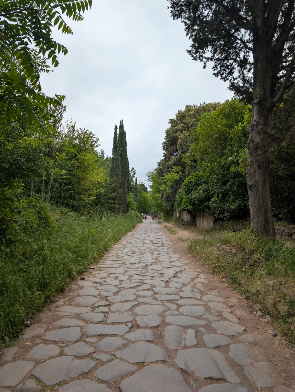 The original basalt paving stones of the Via Appia Antica between cypresses