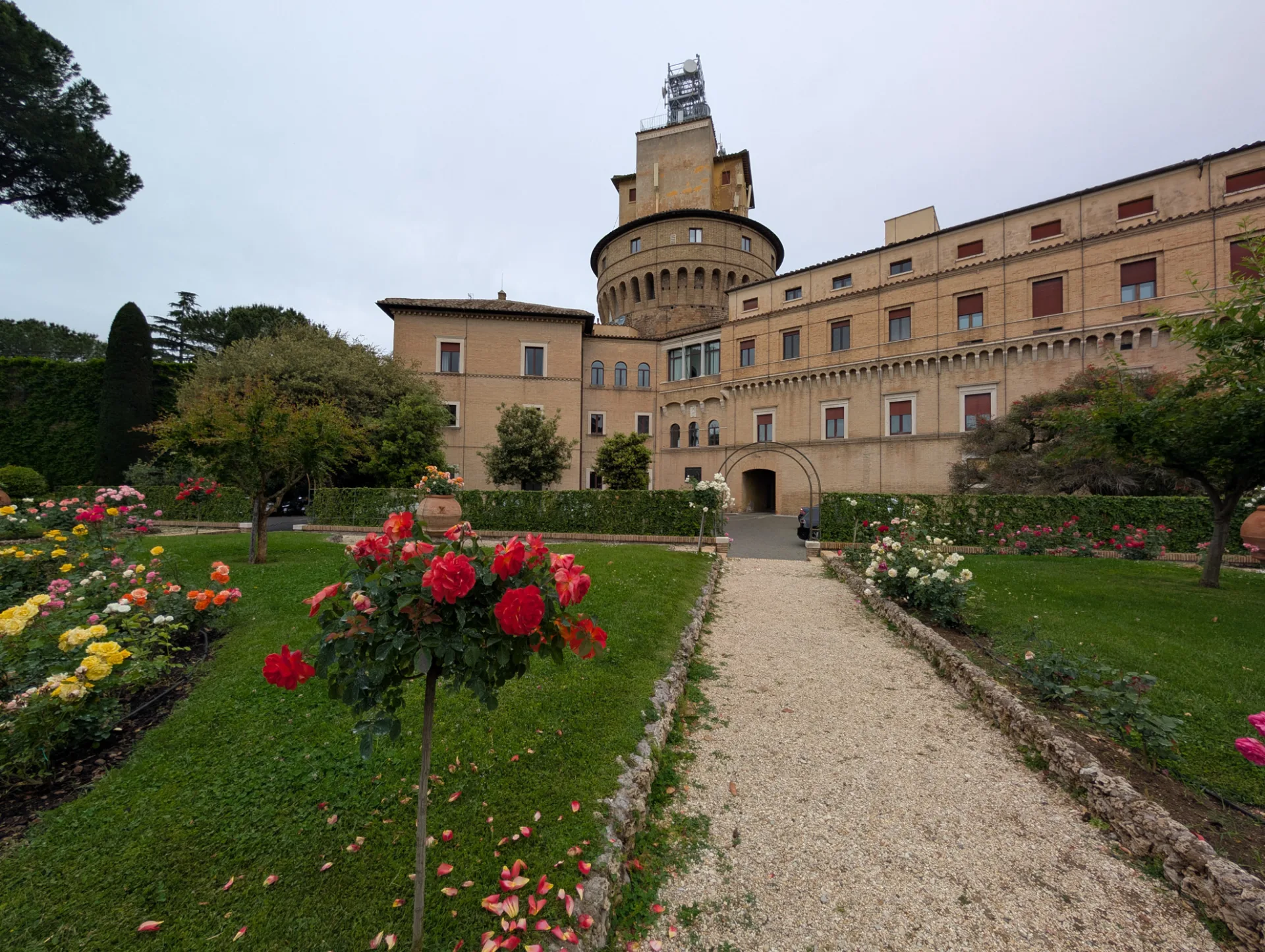 Rose garden in the Vatican Gardens — the papal palazzo beyond