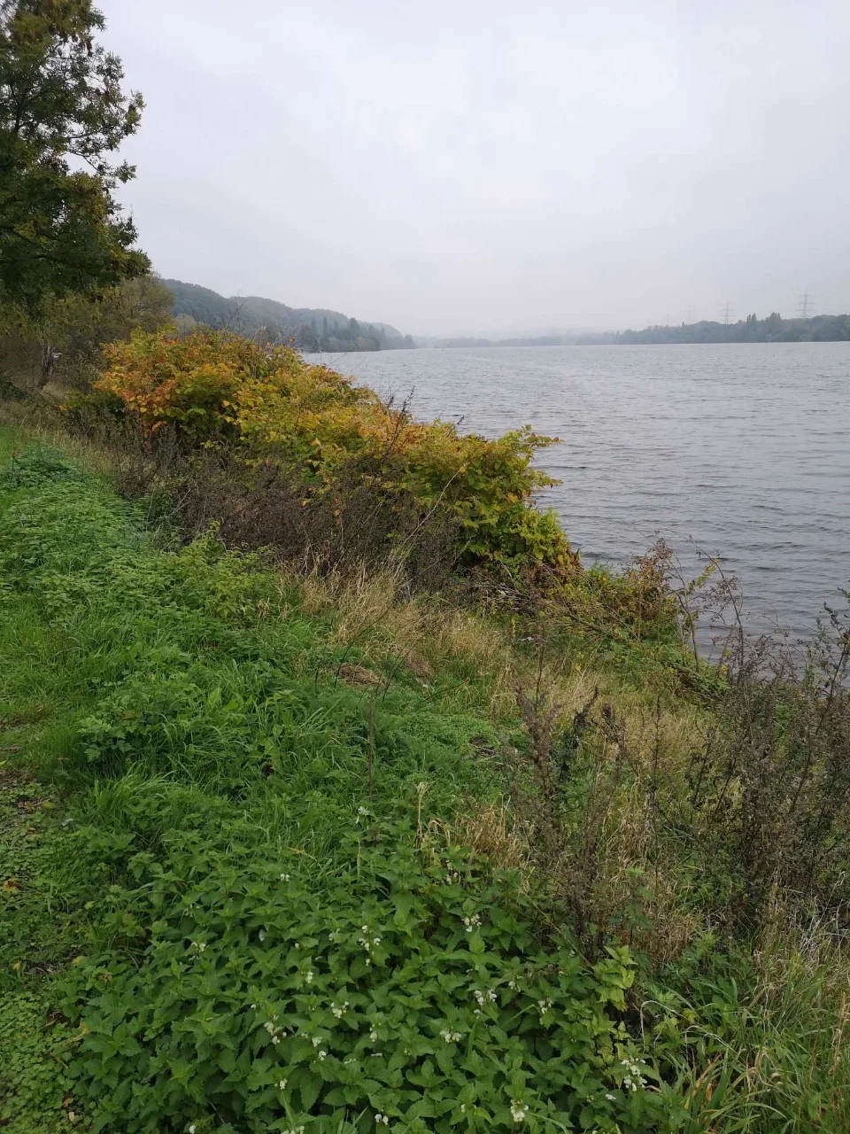 The day's lowest point, down by the water in the Ruhr valley — soon the climbing resumes.