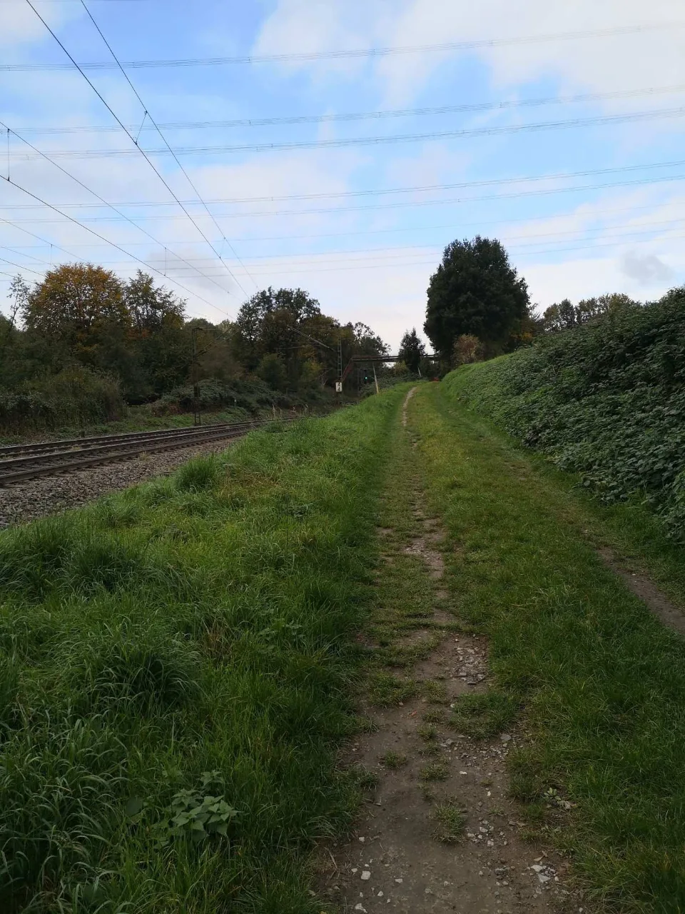 Early afternoon, along broad tracks through open country.