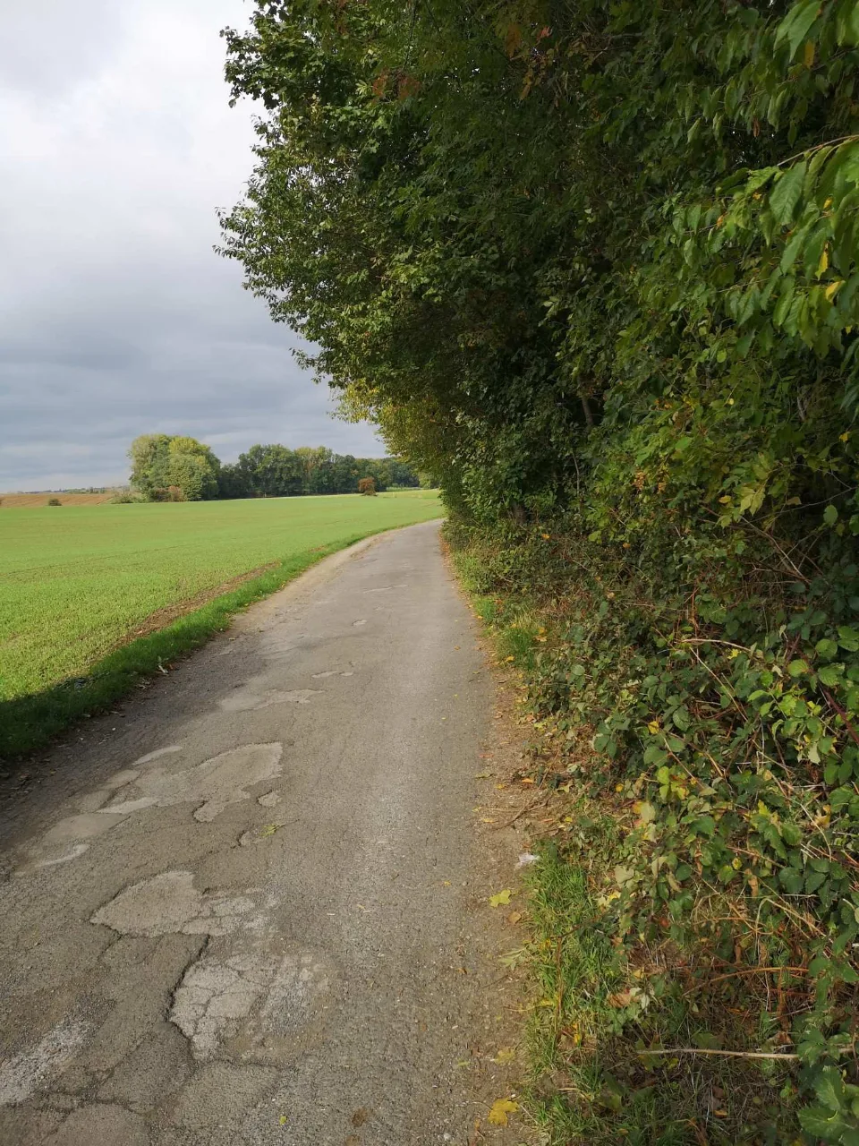 A path along the field edge beside the hedge; the sky clouds over.