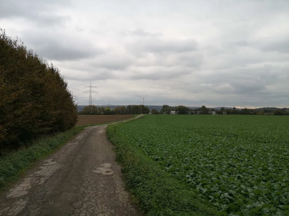 A field track along the cropland under a wide sky; it's still a good way back to Witten.