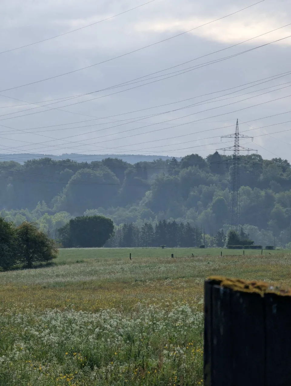 Early-morning haze: power lines and wooded hills above the meadows.