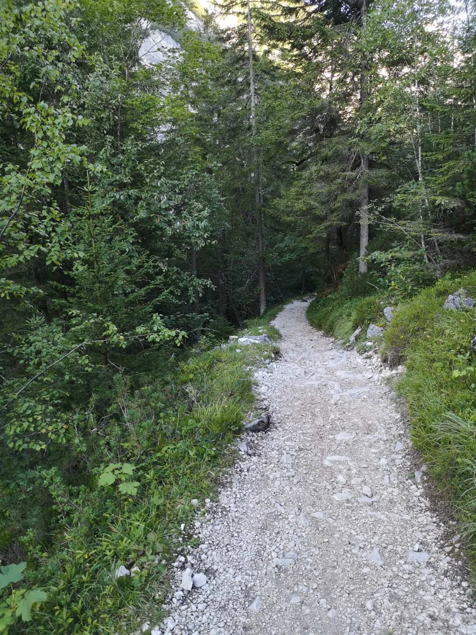 A steady climb on the broad trail through the upper Reintal.