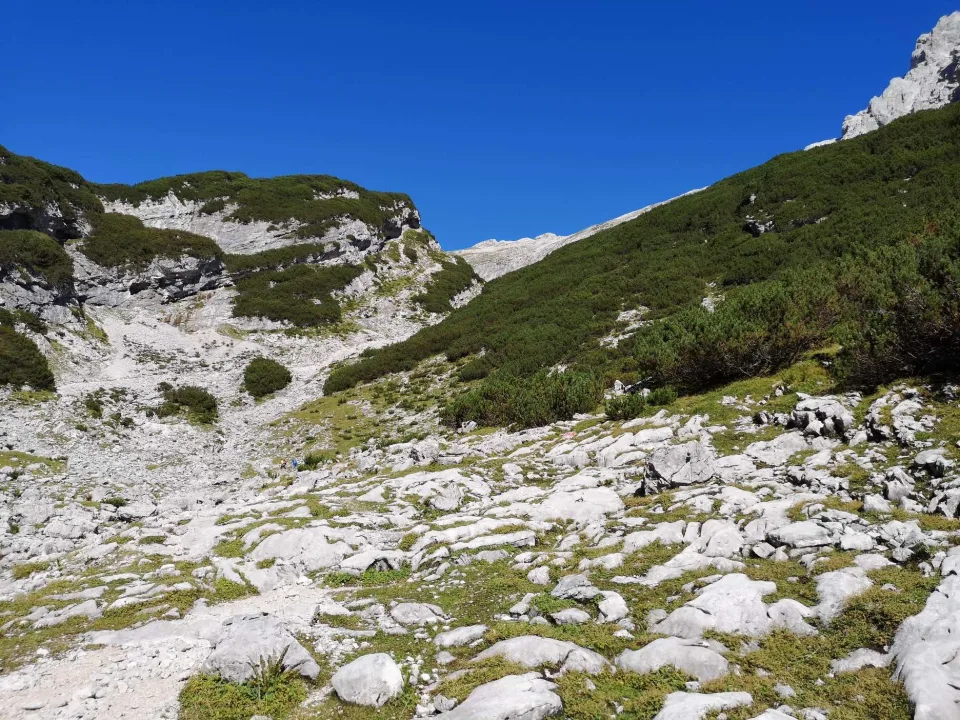 Above the treeline: green flanks and the climb toward the Zugspitzplatt.